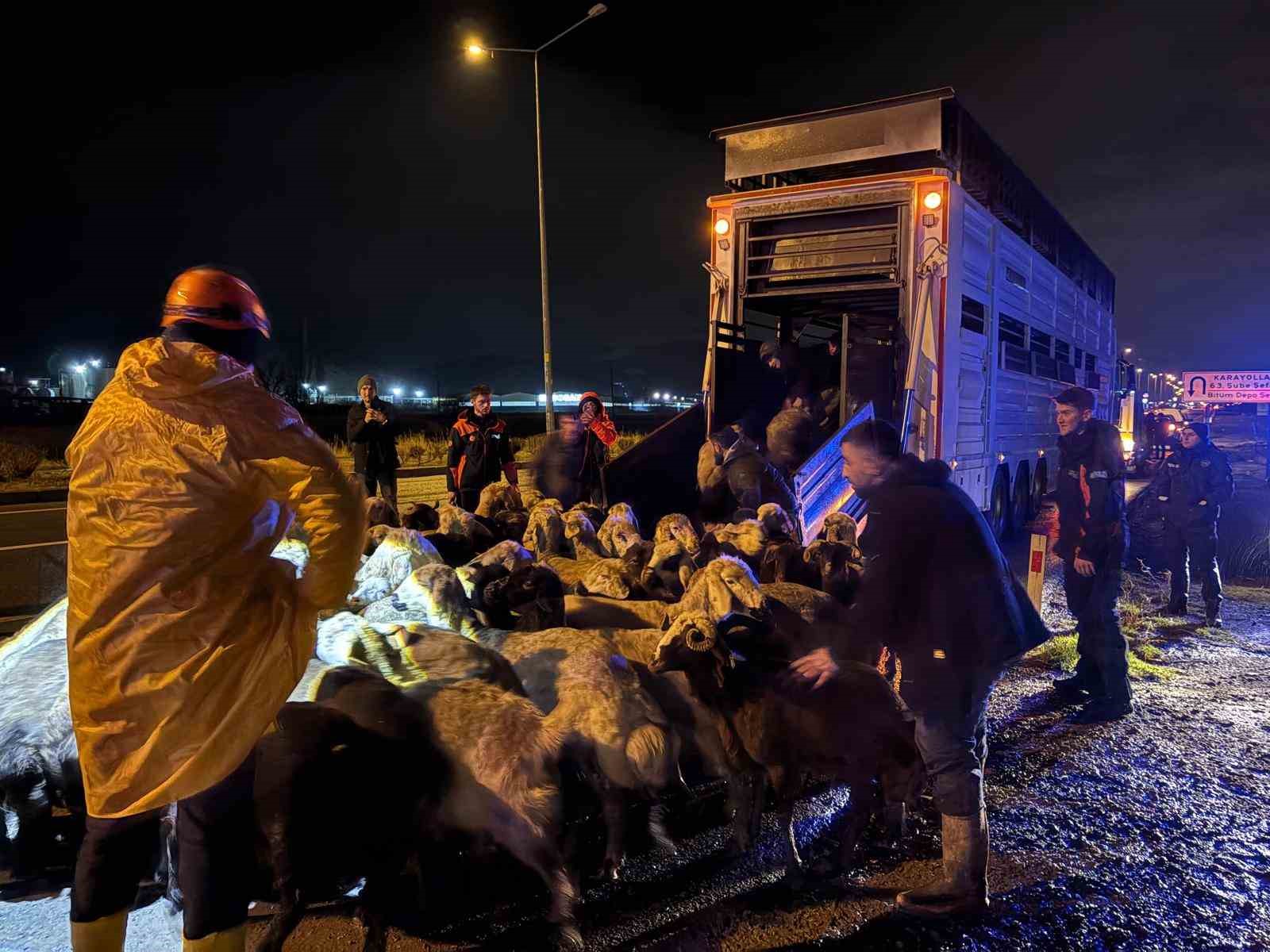 Kayseri’de taşkın riski: 200 hayvan tahliye edildi
