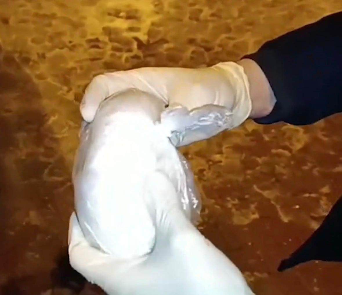 Kayseri’de ‘torbacı’ operasyonu: 1 gözaltı
