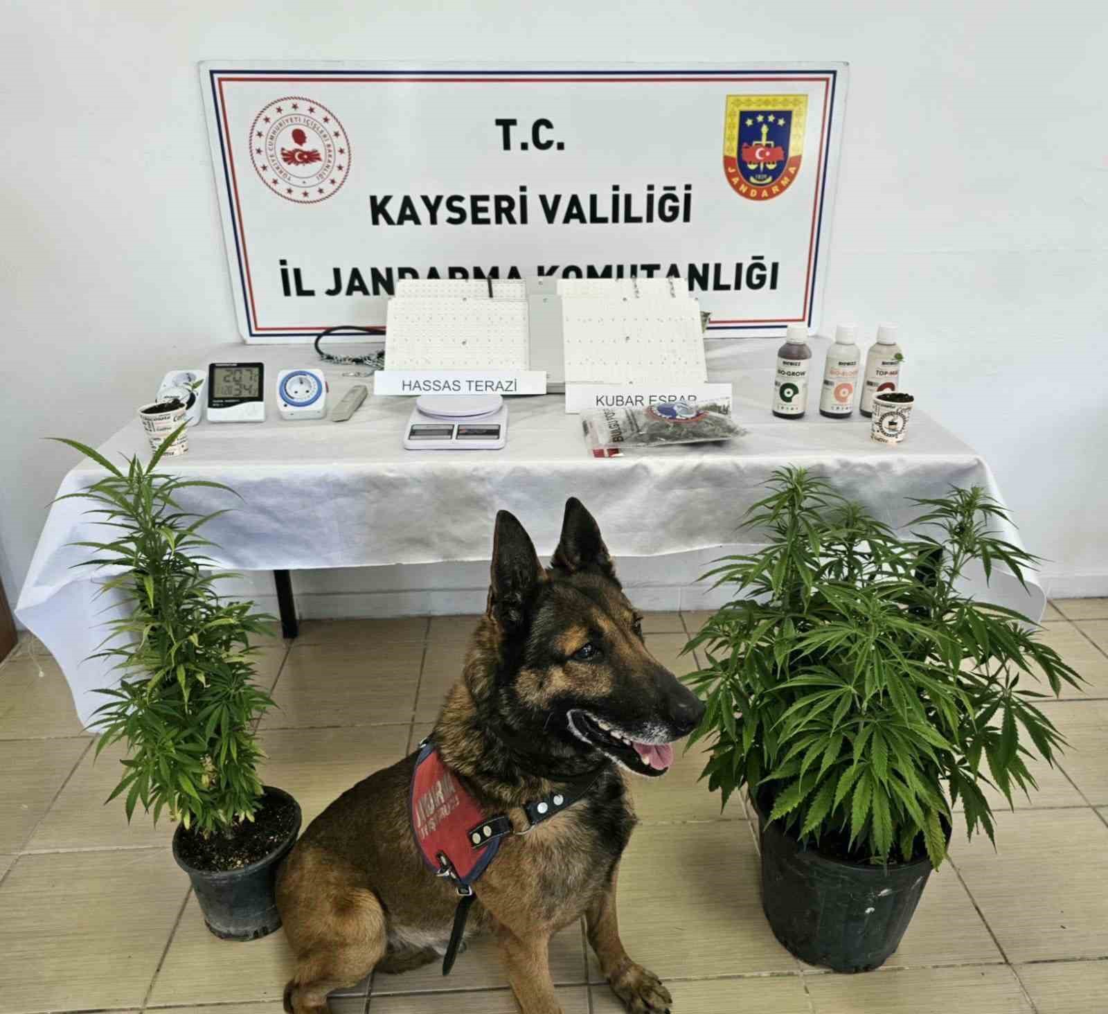 Kayseri’de uyuşturucu operasyonu
