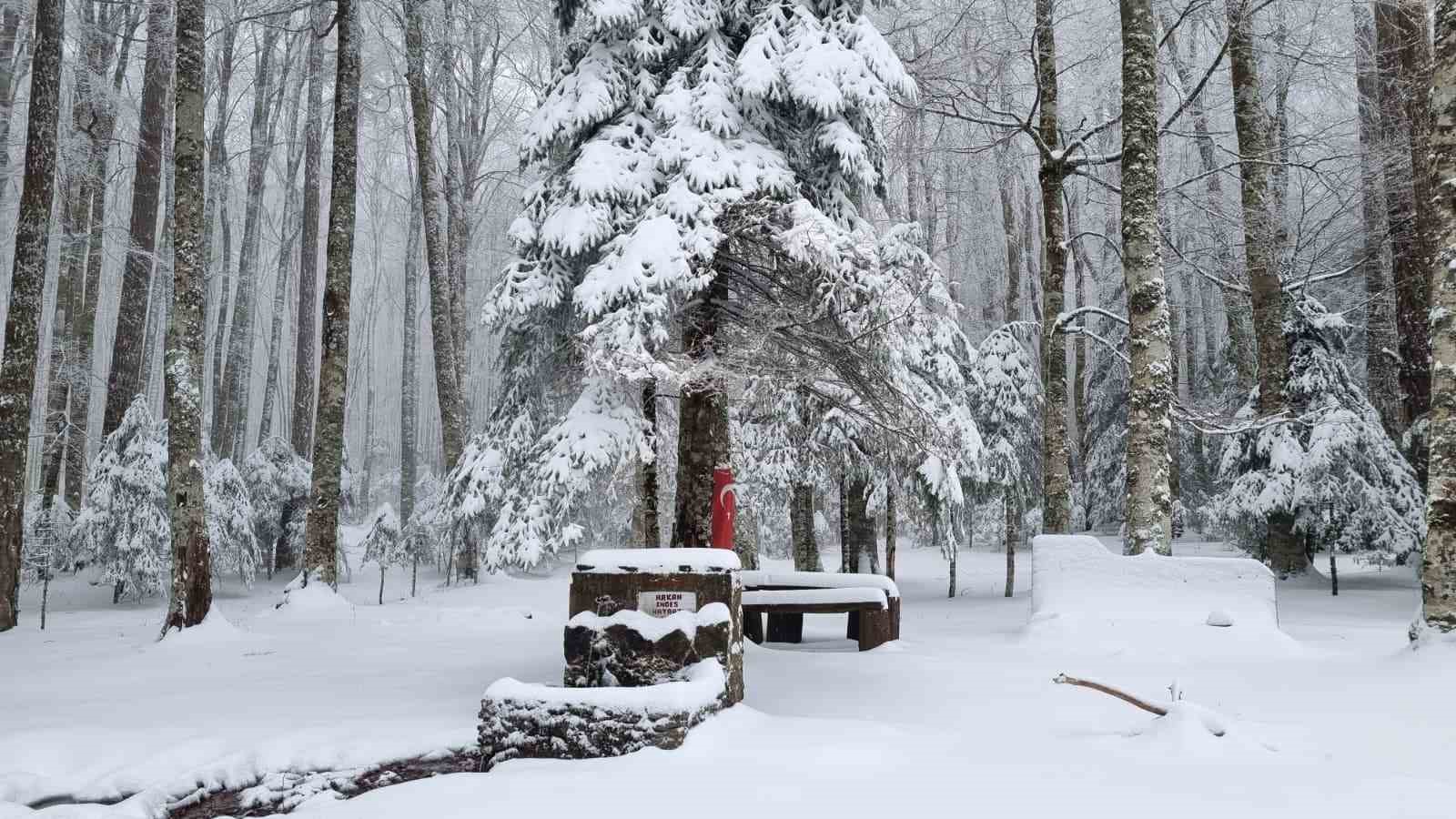 Kazdağları beyaz örtüsüne büründü
