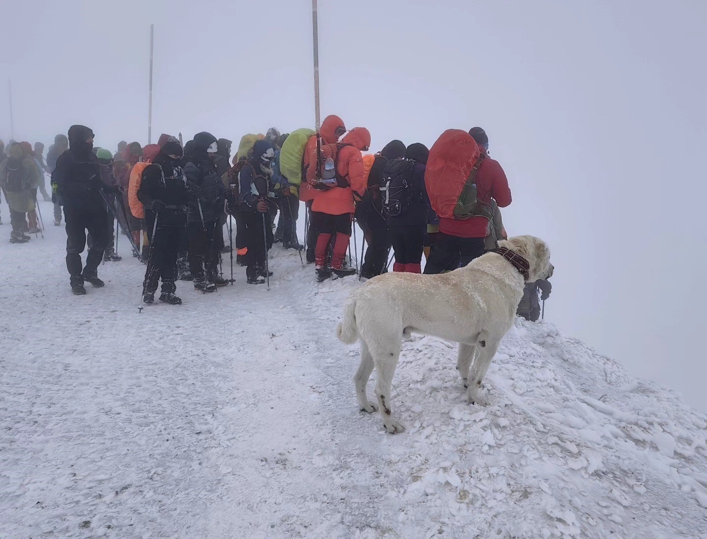Kazıkbeli Savaşı anısına Honaz Dağı’na zirve tırmanışı
