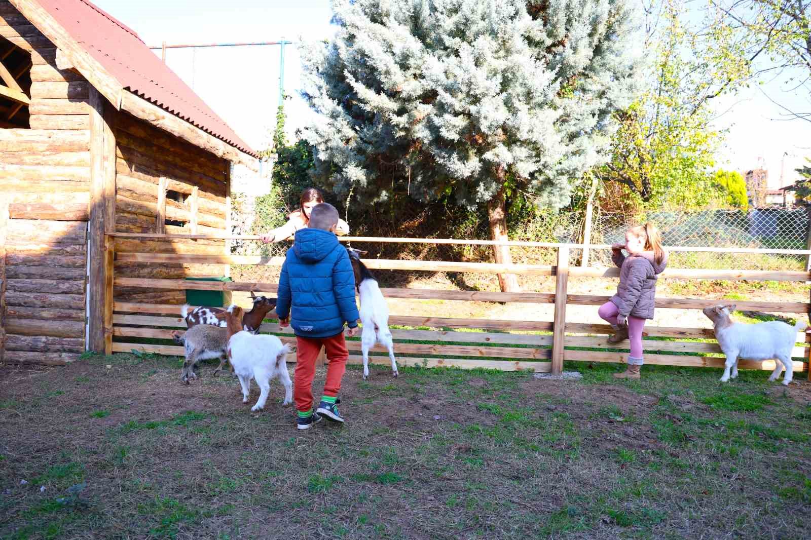 Keçi, ördek, tavuk, tavşan: Hepsinin görevi "Çok özel"
Keçi, ördek, tavuk, tavşan: Hepsinin görevi "Çok özel"