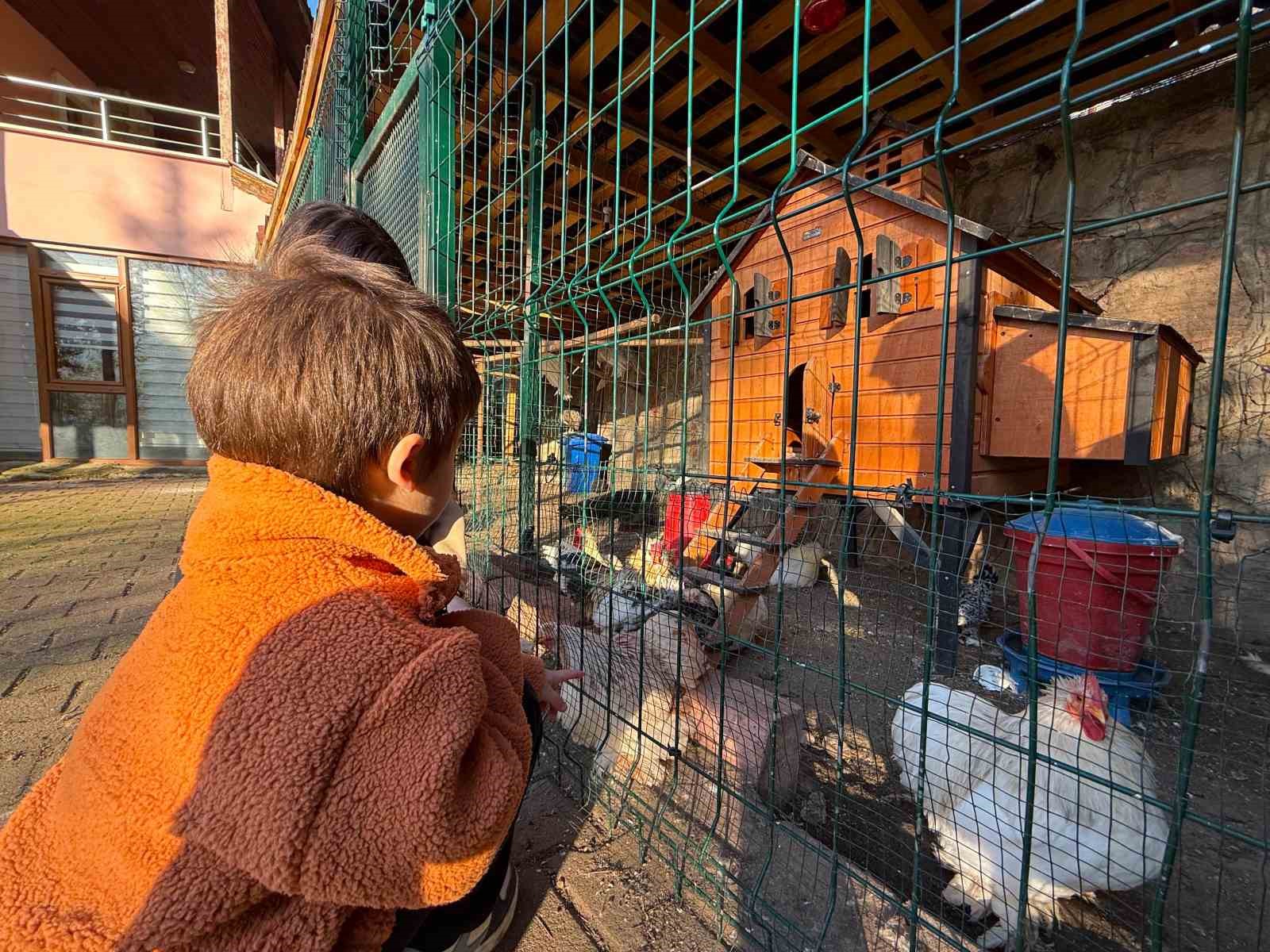 Keçi, ördek, tavuk, tavşan: Hepsinin görevi "Çok özel"
Keçi, ördek, tavuk, tavşan: Hepsinin görevi "Çok özel"