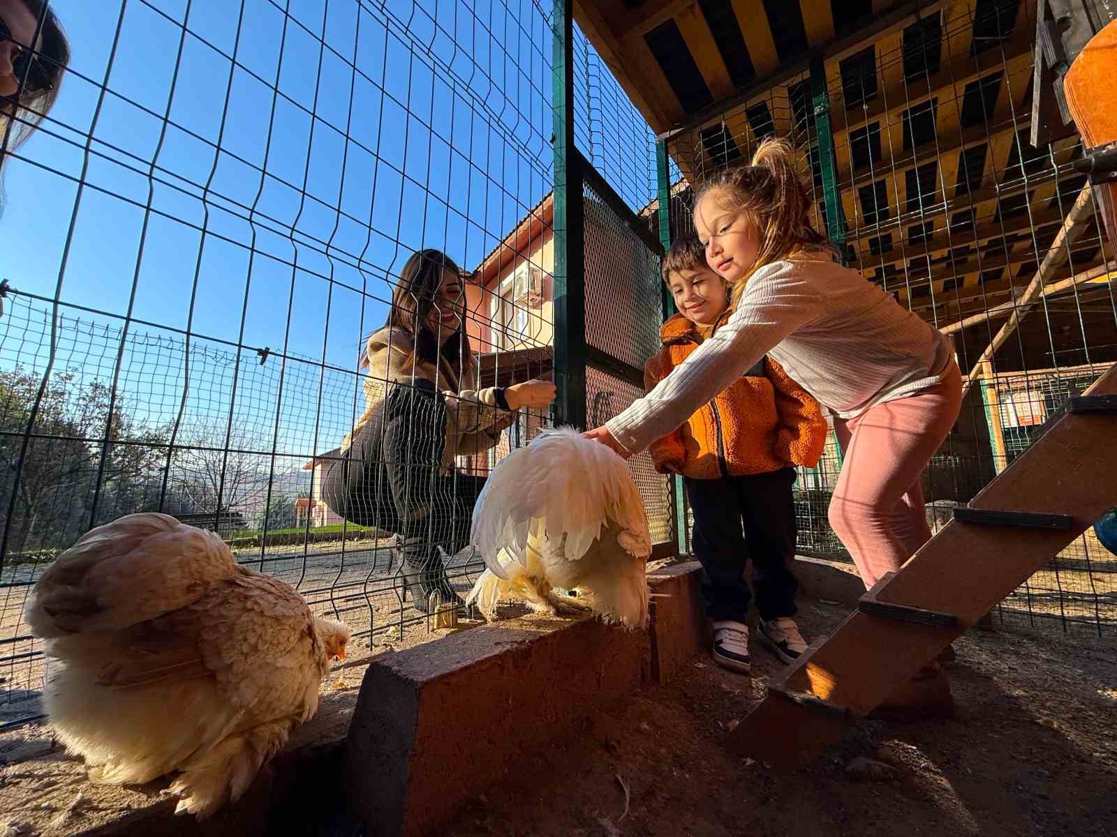 Keçi, ördek, tavuk, tavşan: Hepsinin görevi "Çok özel"
Keçi, ördek, tavuk, tavşan: Hepsinin görevi "Çok özel"