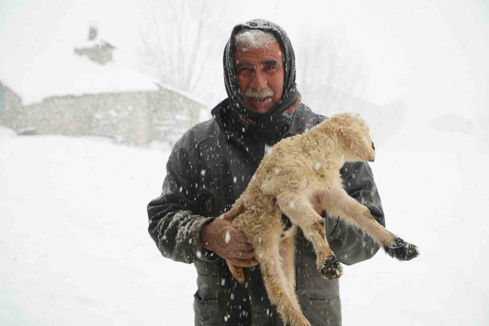 Keçi sürüsü 4 saatlik zorlu yolculukla köye ulaştırıldı
