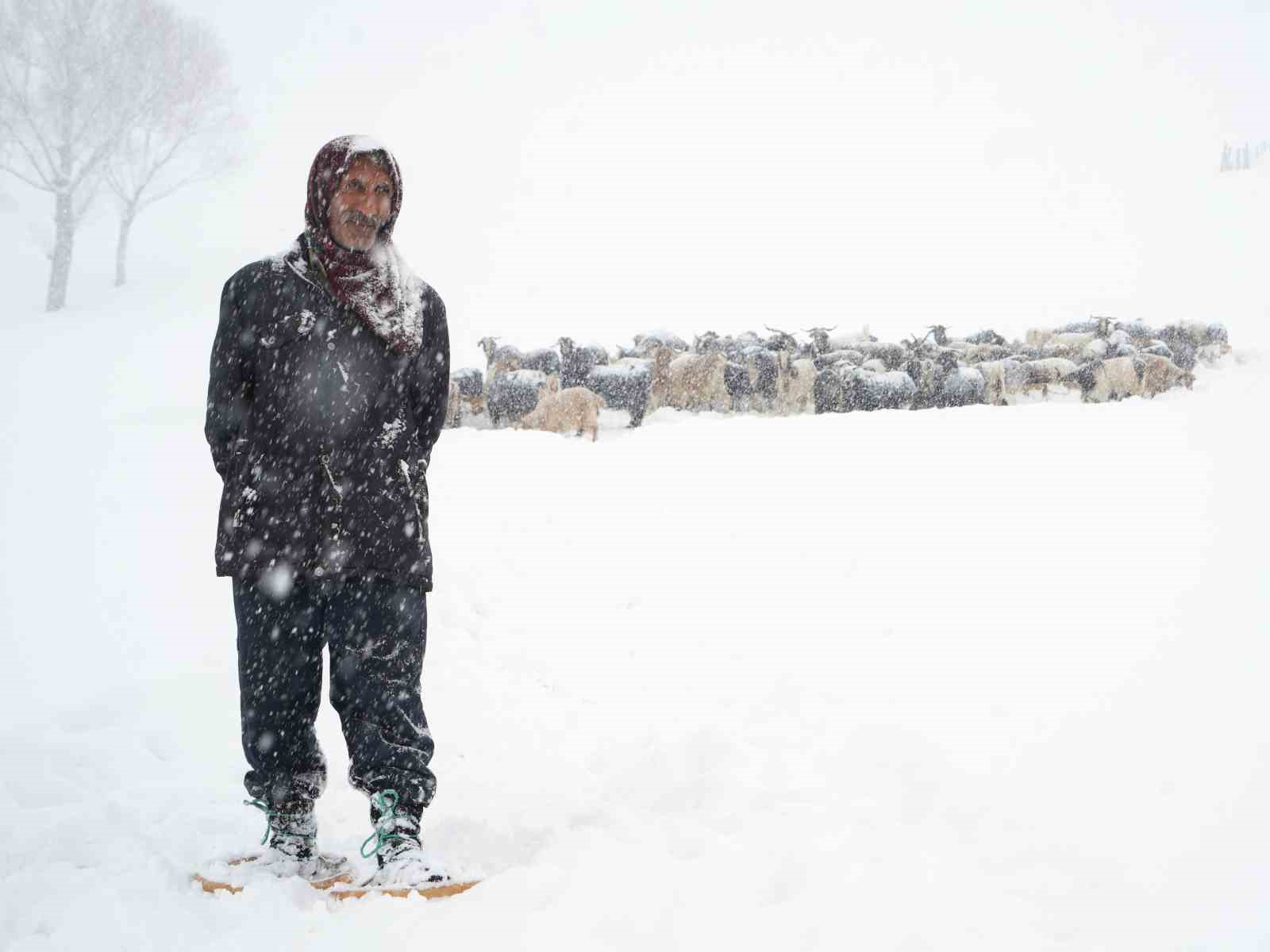 Keçi sürüsü 4 saatlik zorlu yolculukla köye ulaştırıldı
