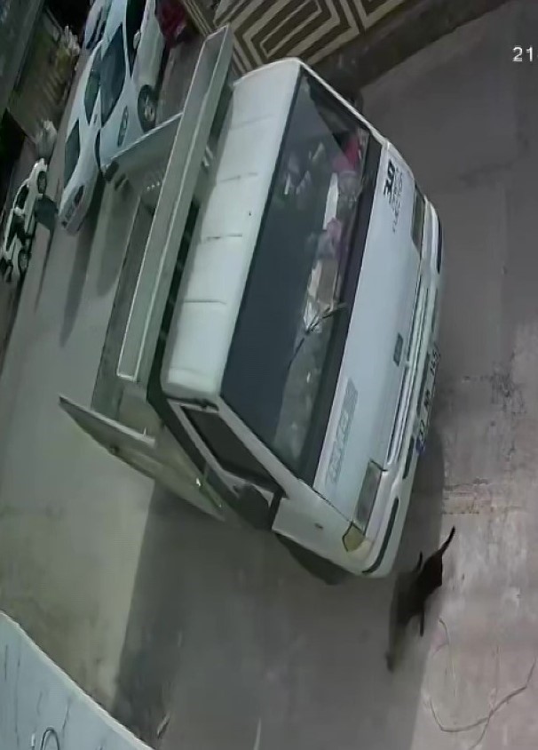 Kedi ezen sürücüye hayvan barınağında çalışma cezası
Kedi ezen sürücüye hayvan barınağında çalışma cezası