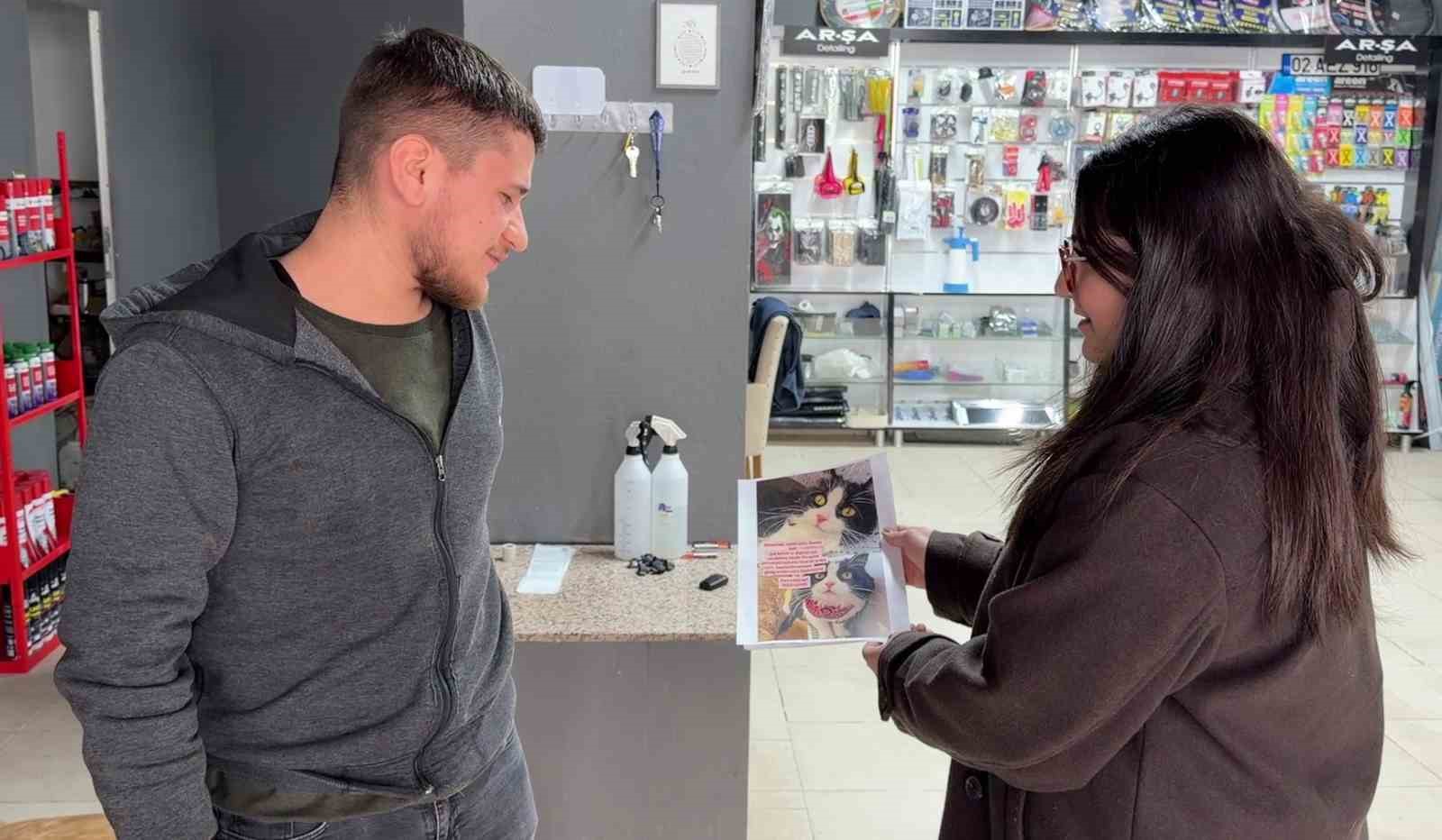 Kedilerini bulana çeyrek altın verecekler
