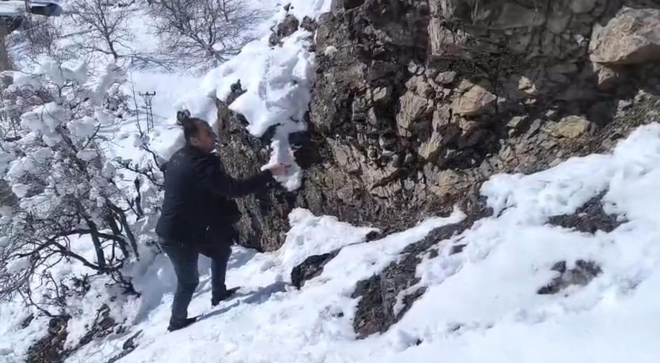 Keklikler için doğaya yem bıraktılar
