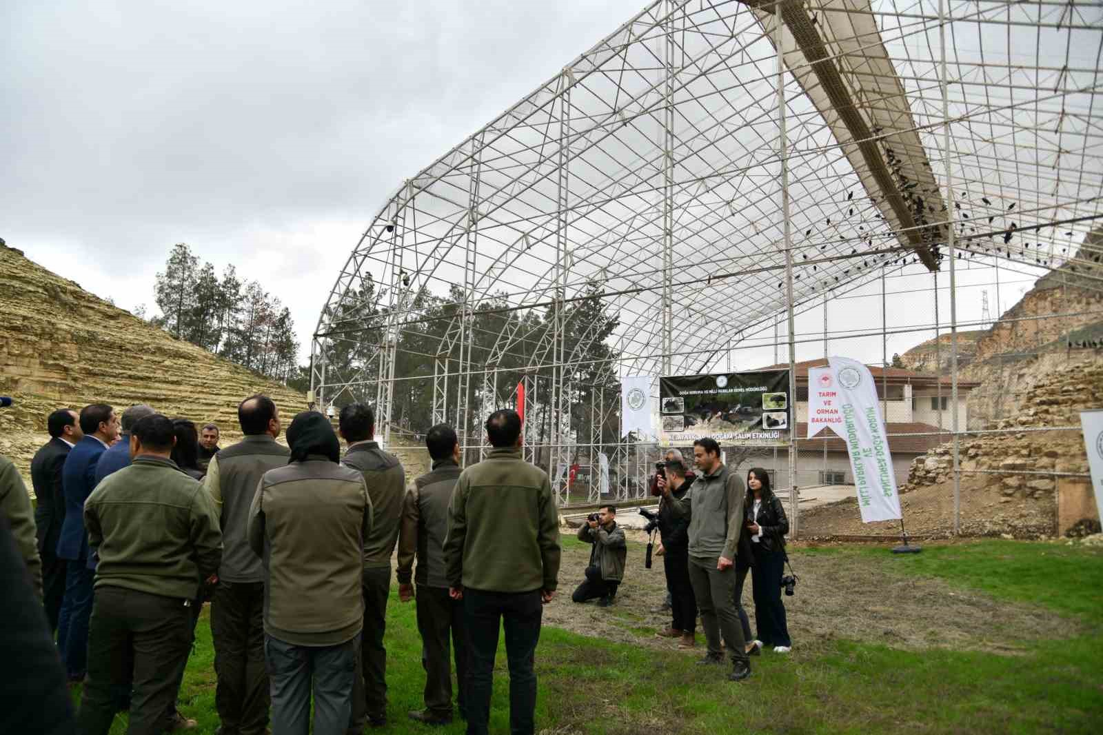 Kelaynaklar doğaya salındı
