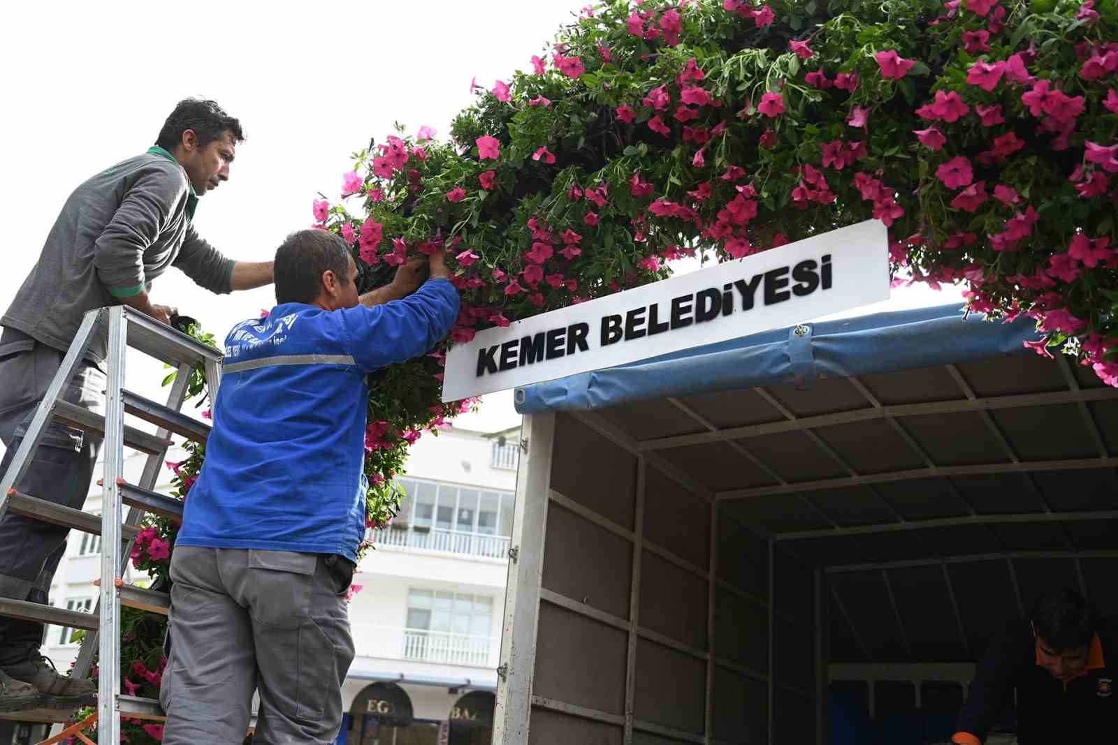 Kemer yaz sezonuna hazırlanıyor, ilçe petunyalarla süsleniyor
