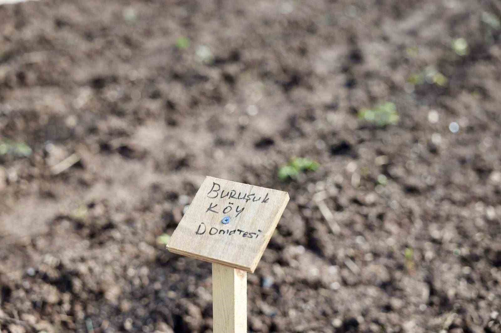 Kendi kompost gübresini üreten belediyeden "ata tohumu" hamlesi

