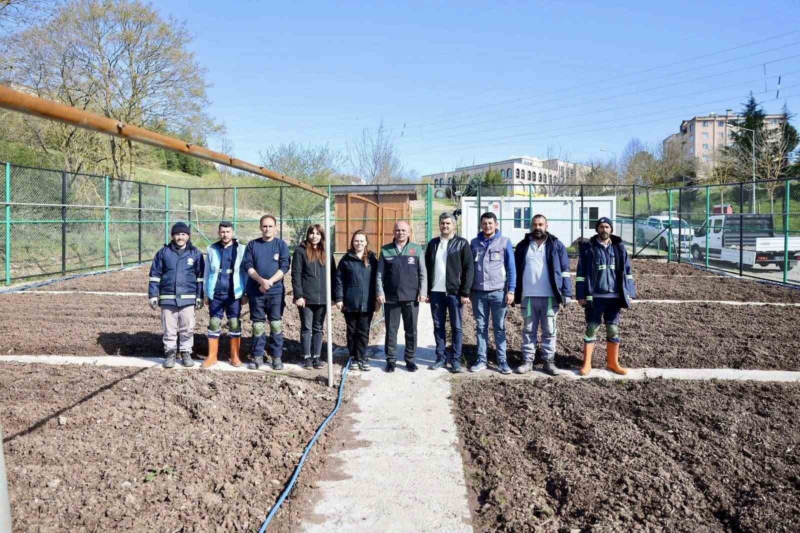 Kendi kompost gübresini üreten belediyeden "ata tohumu" hamlesi
