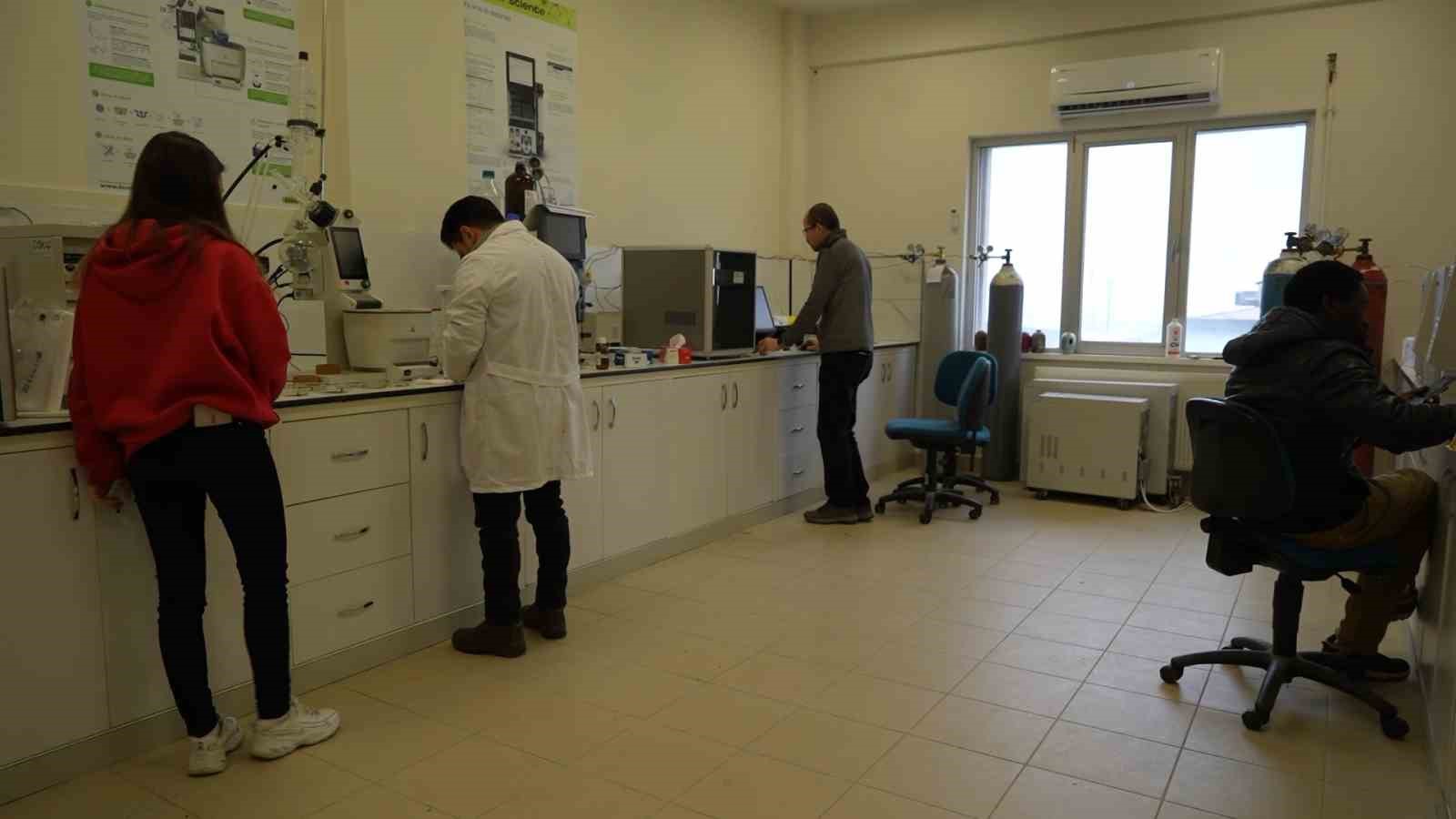 Kenevirden kauçuk, krem ve biyomalzeme: OMÜ’den çok yönlü kenevir çalışmaları
Kenevirden kauçuk, krem ve biyomalzeme: OMÜ’den çok yönlü kenevir çalışmaları