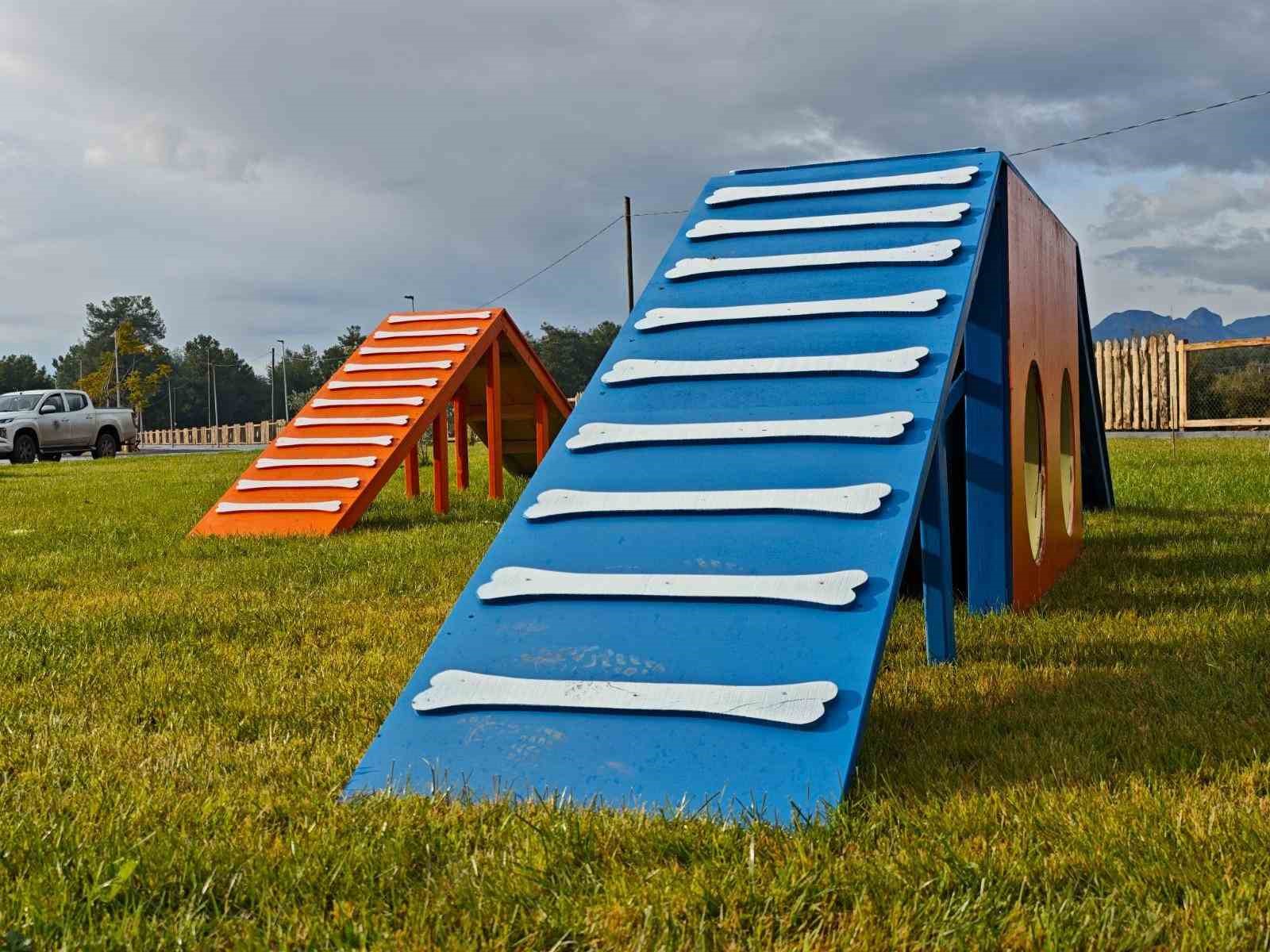 Kepez Belediyesi’nden hayvan dostu hizmet: Köpek Oyun Parkı
Kepez Belediyesi’nden hayvan dostu hizmet: Köpek Oyun Parkı