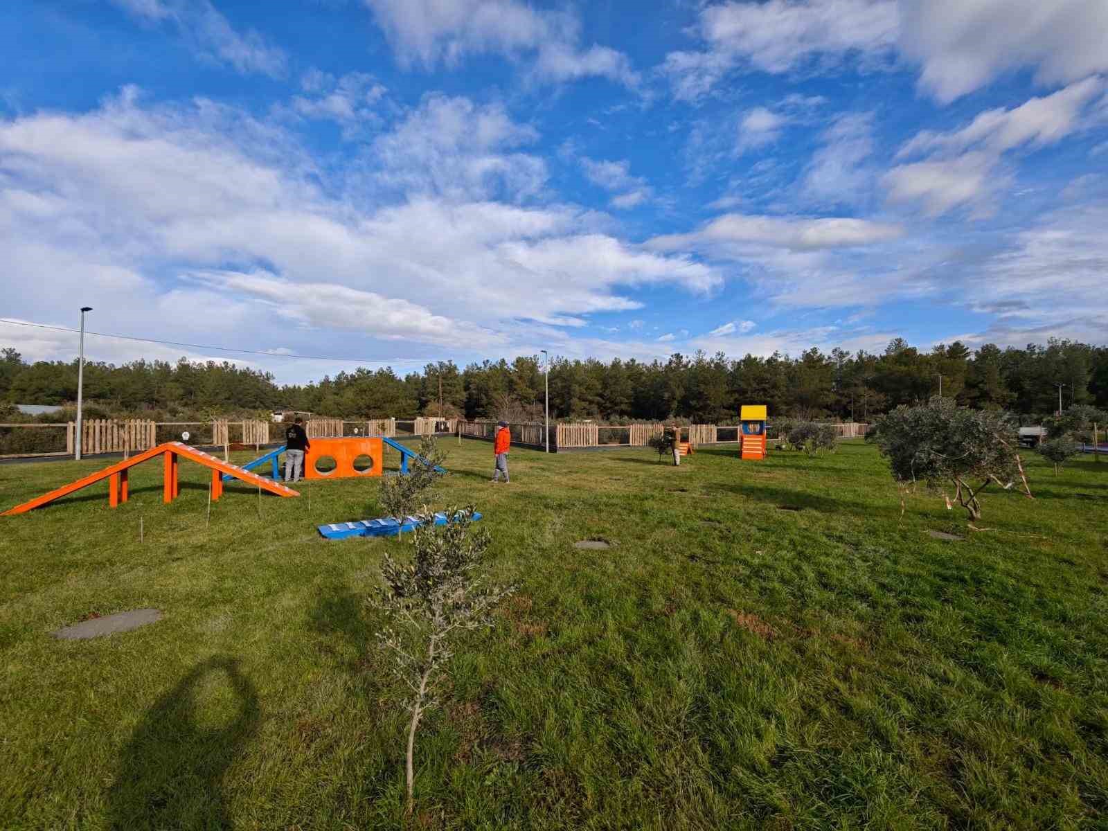 Kepez Belediyesi’nden hayvan dostu hizmet: Köpek Oyun Parkı
Kepez Belediyesi’nden hayvan dostu hizmet: Köpek Oyun Parkı