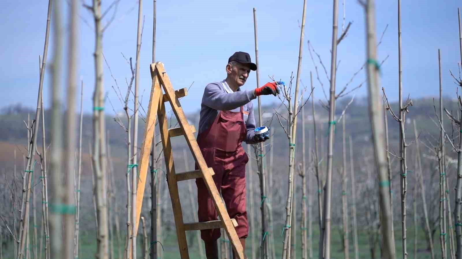 Kestel’de bahar mesaisi
Kestel’de bahar mesaisi