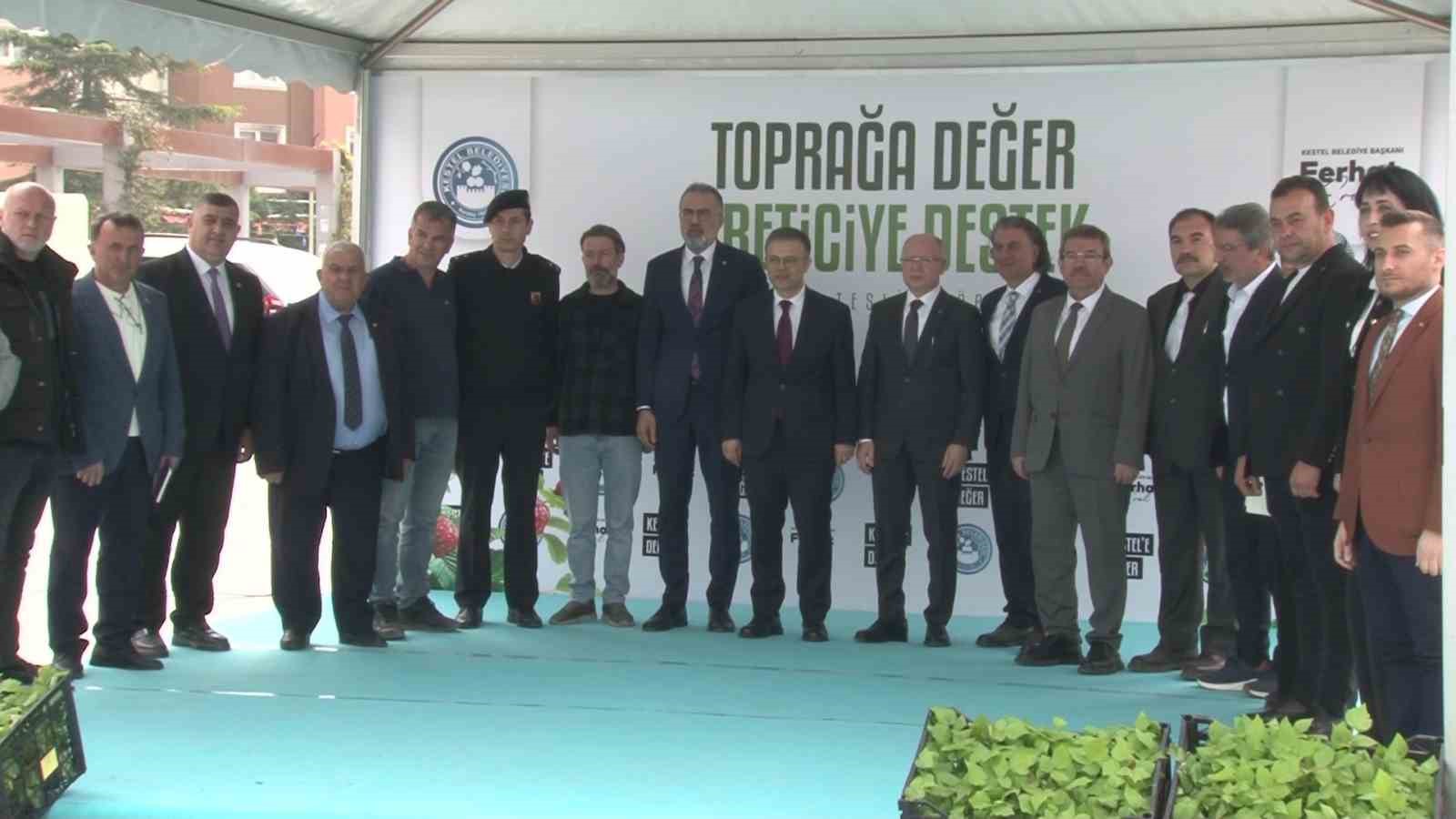 Kestel’de üreticiye 6 bin ahududu fidanı desteği
