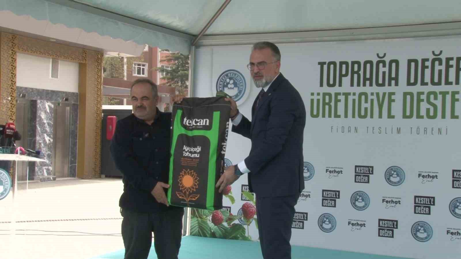 Kestel’de üreticiye 6 bin ahududu fidanı desteği
