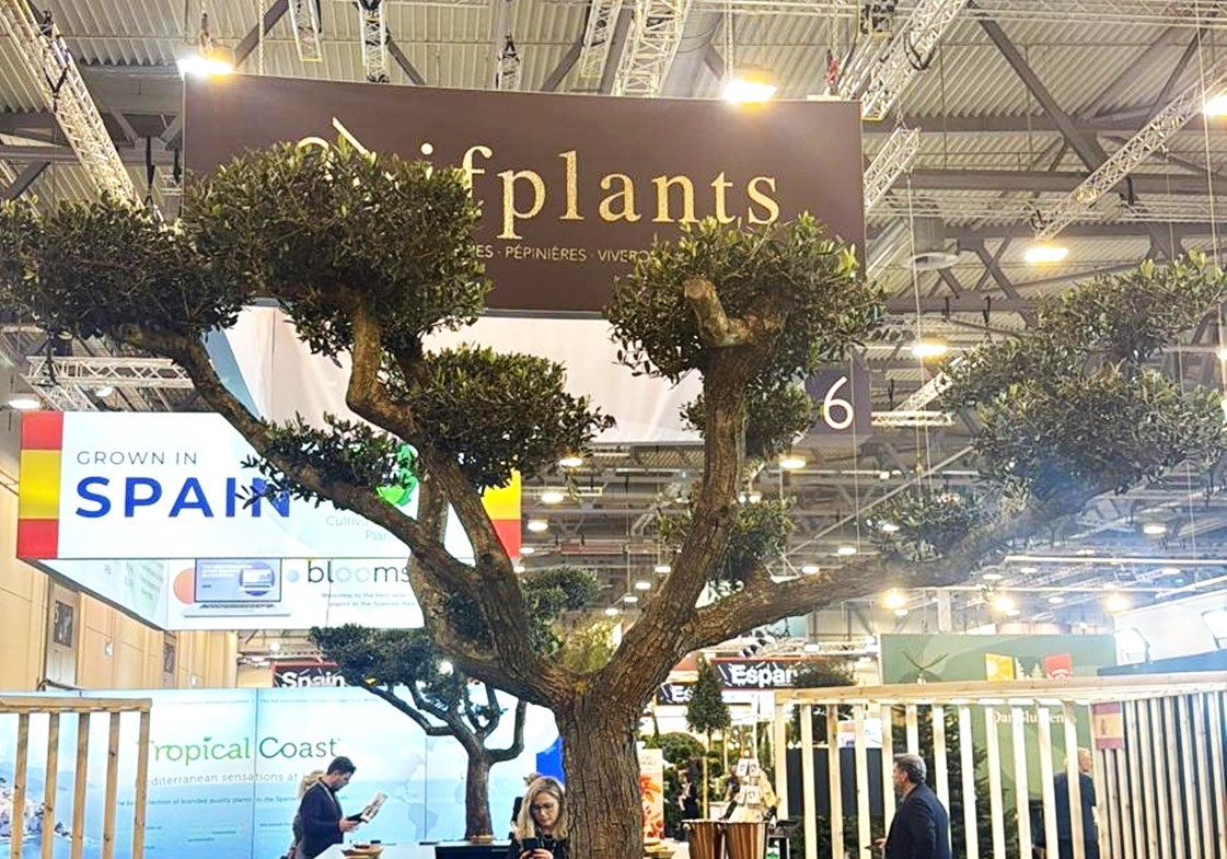 Kestel’in yeşil gücü Essen Fuarı’nda dünyaya açıldı
