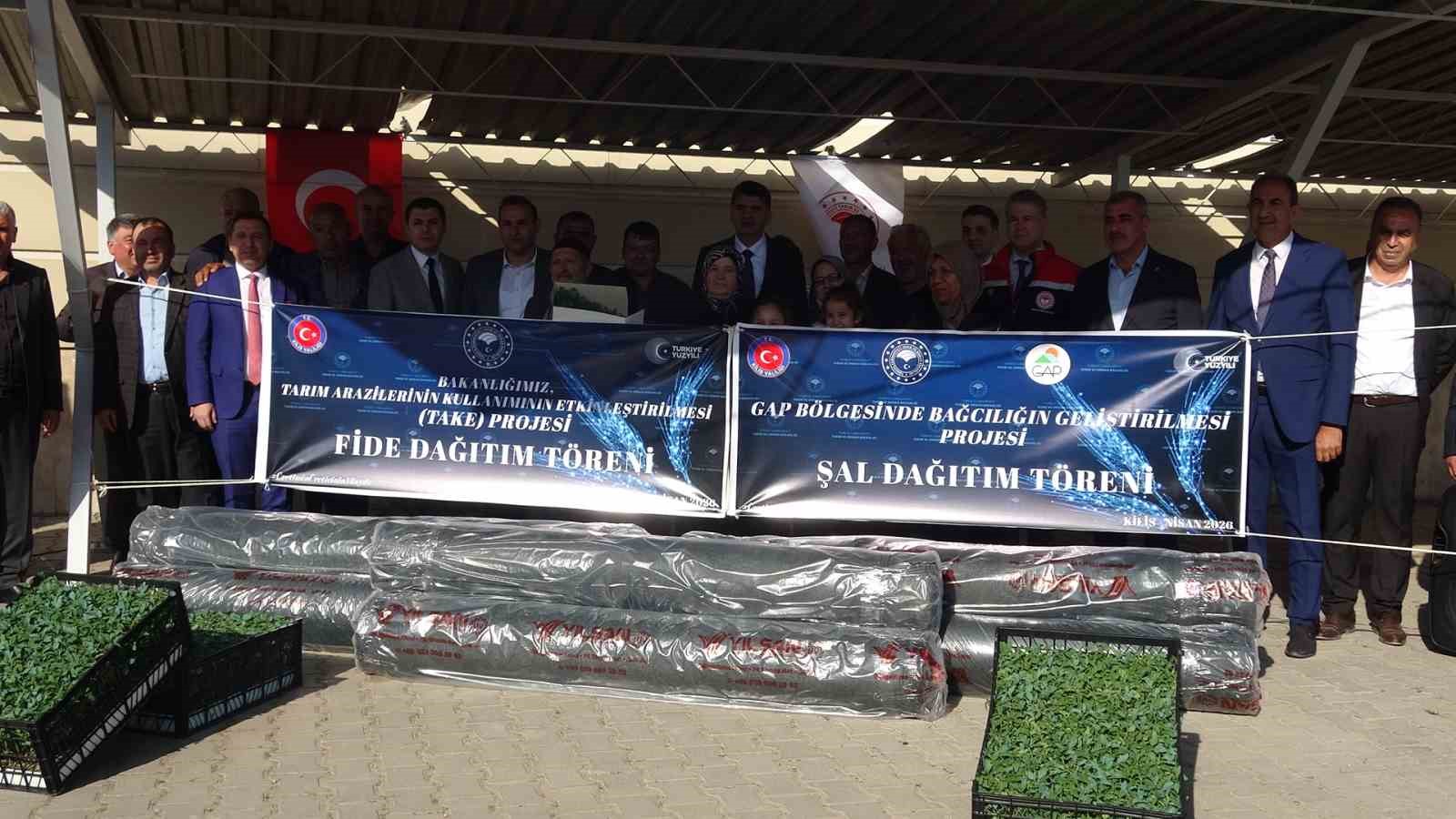 Kilis’te 320 çiftçiye üzüm şalı, 250 çiftçiye 400 bin fide desteği
