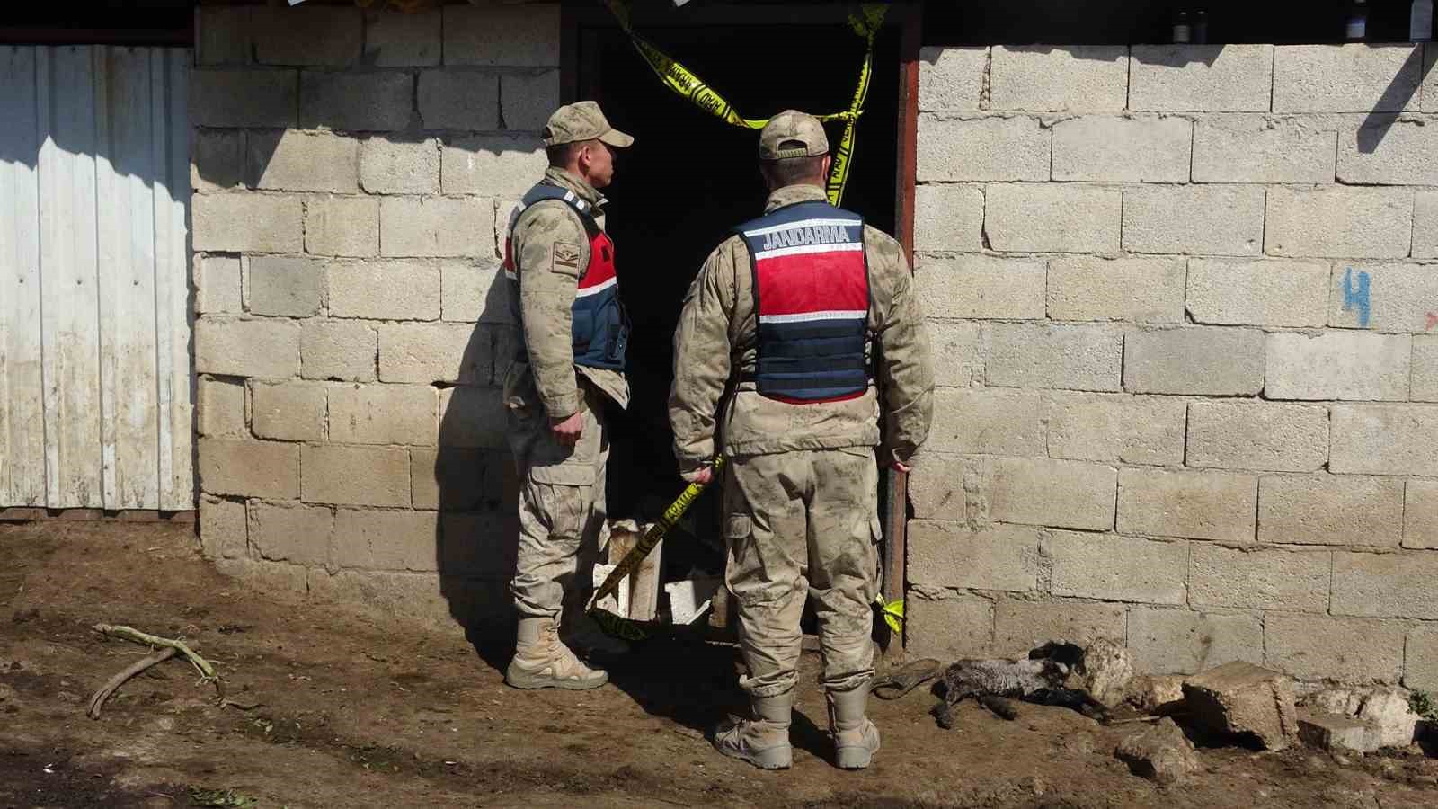 Kilis’te toprak kayması: Ahır çöktü, 40 hayvan telef oldu
