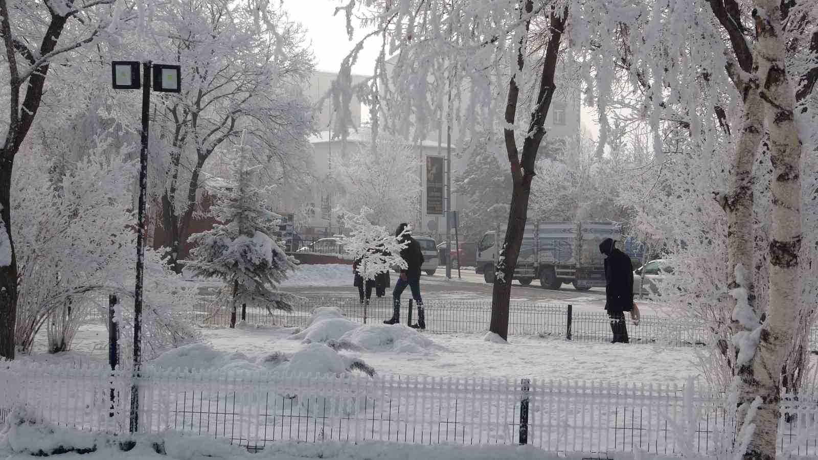 Kırağı sonrası görsel şölen oluştu
