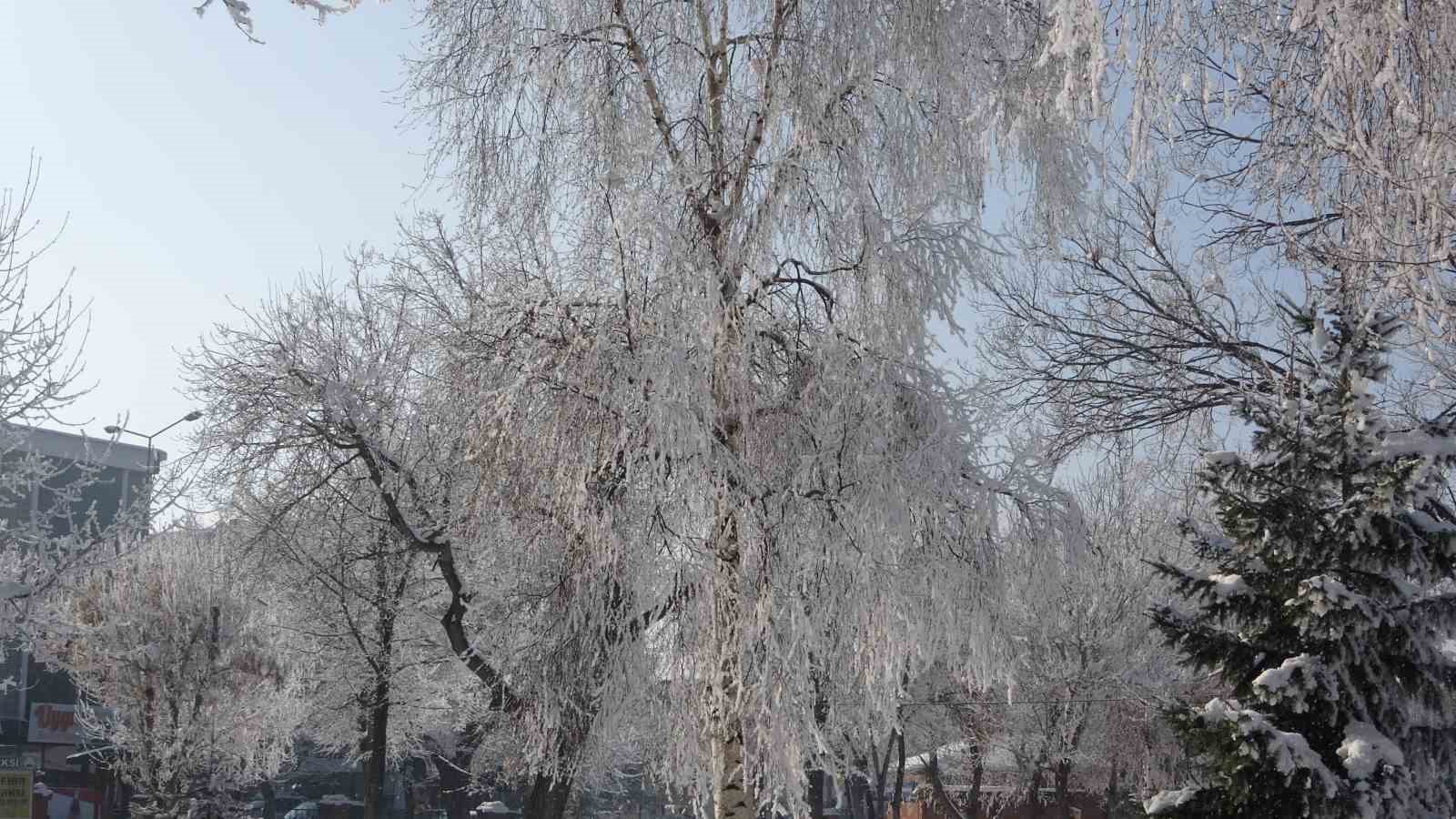 Kırağı sonrası görsel şölen oluştu
