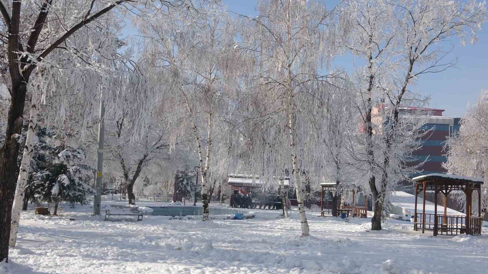 Kırağı sonrası görsel şölen oluştu
