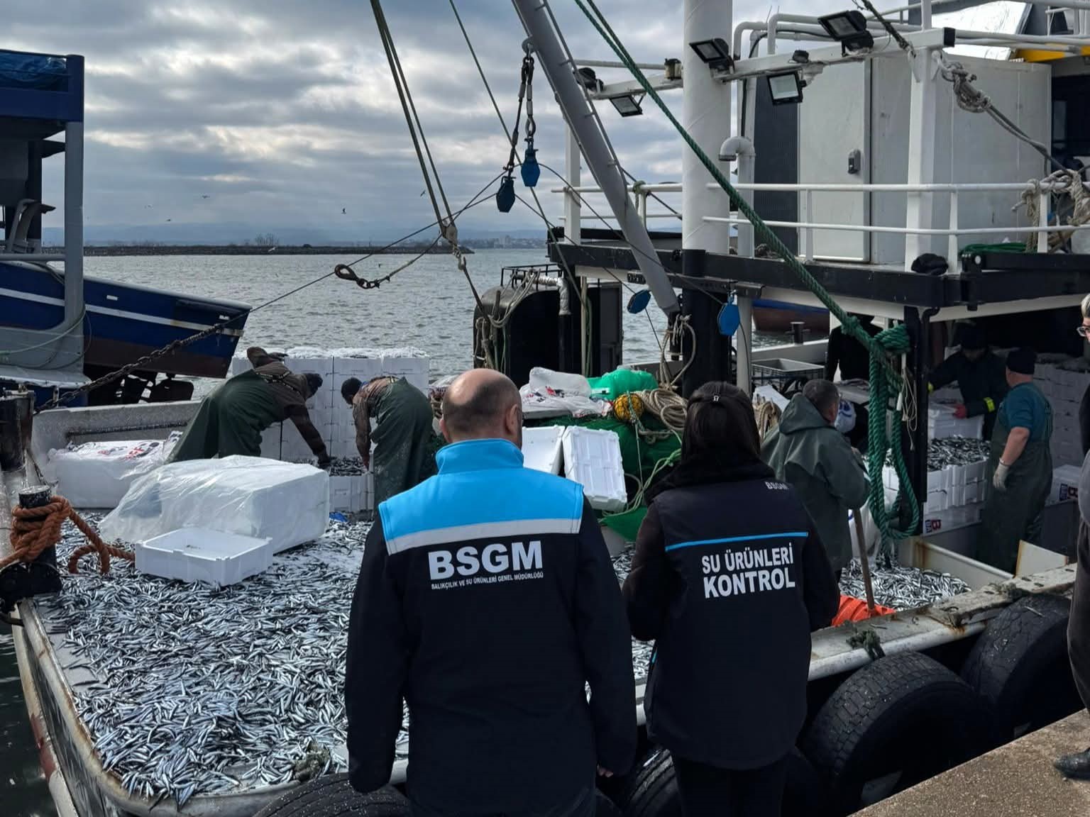 Kırklareli’de hamsi sevkiyatlarına denetim
