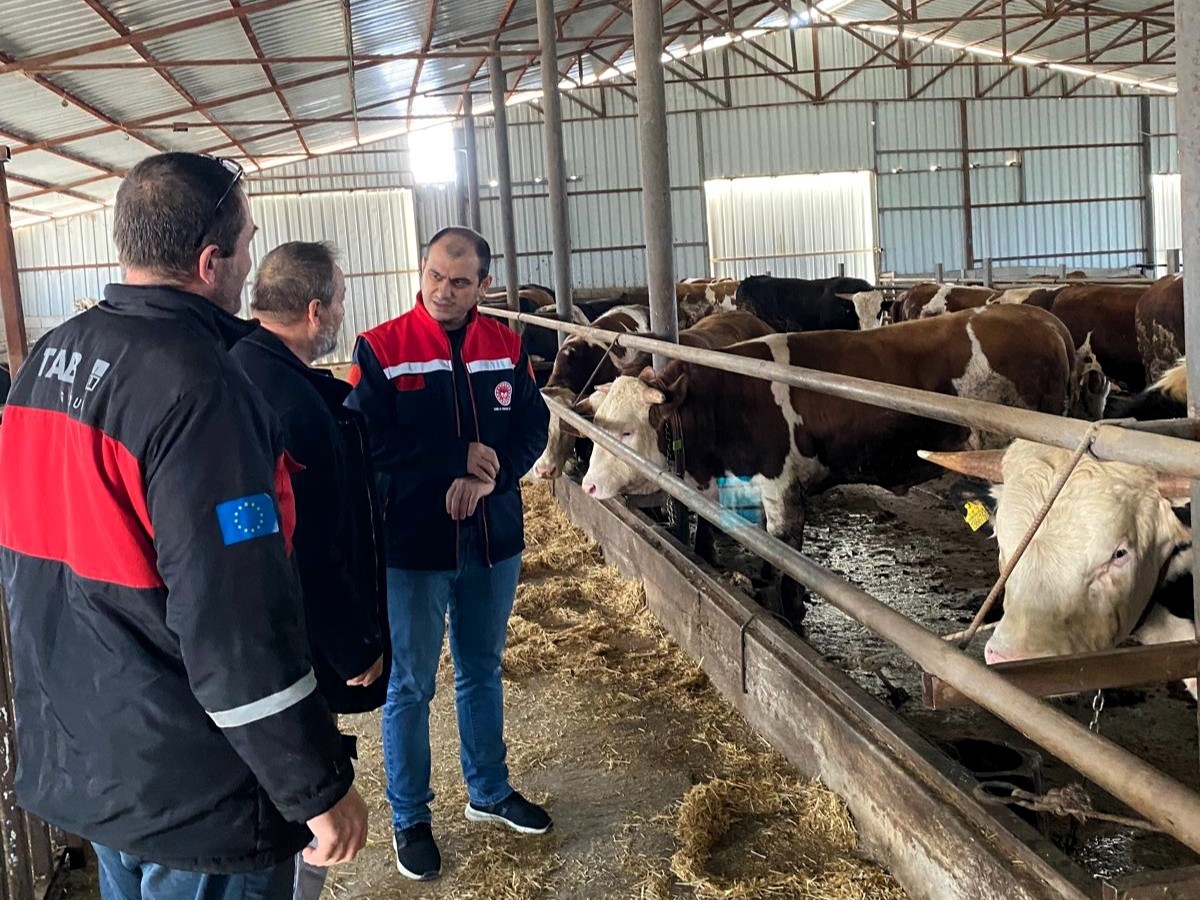 Kırklareli’nde besi çiftliği kontrolleri devam ediyor
Kırklareli’nde besi çiftliği kontrolleri devam ediyor