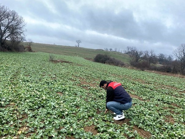 Kırklareli’nde üretim ve gıda güvenliği denetimleri
