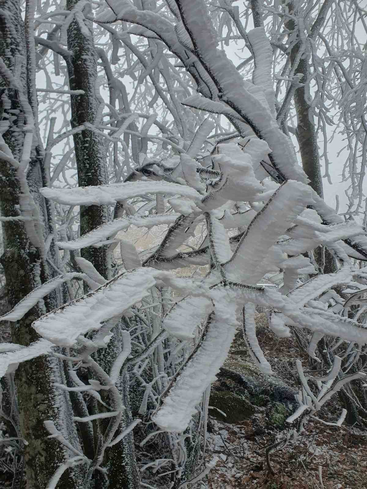 Kırklareli’nin yüksek kesimleri beyaza büründü
