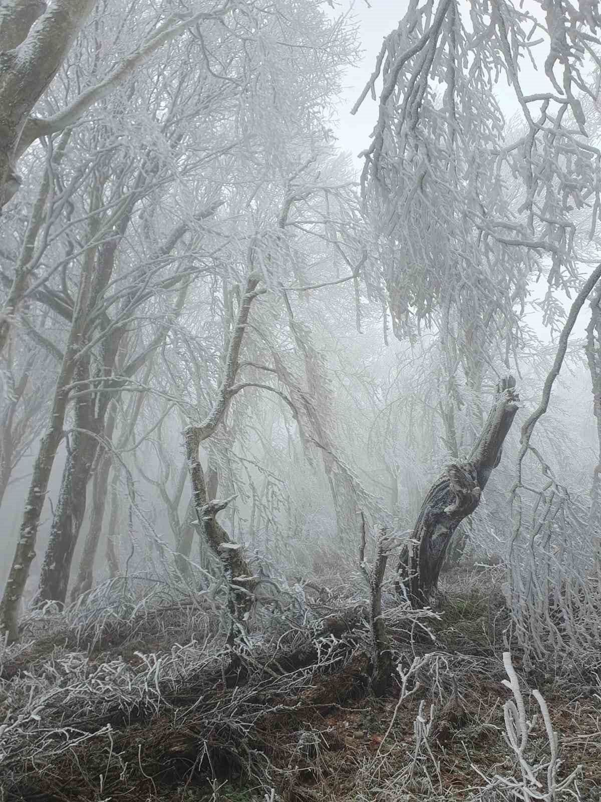 Kırklareli’nin yüksek kesimleri beyaza büründü
