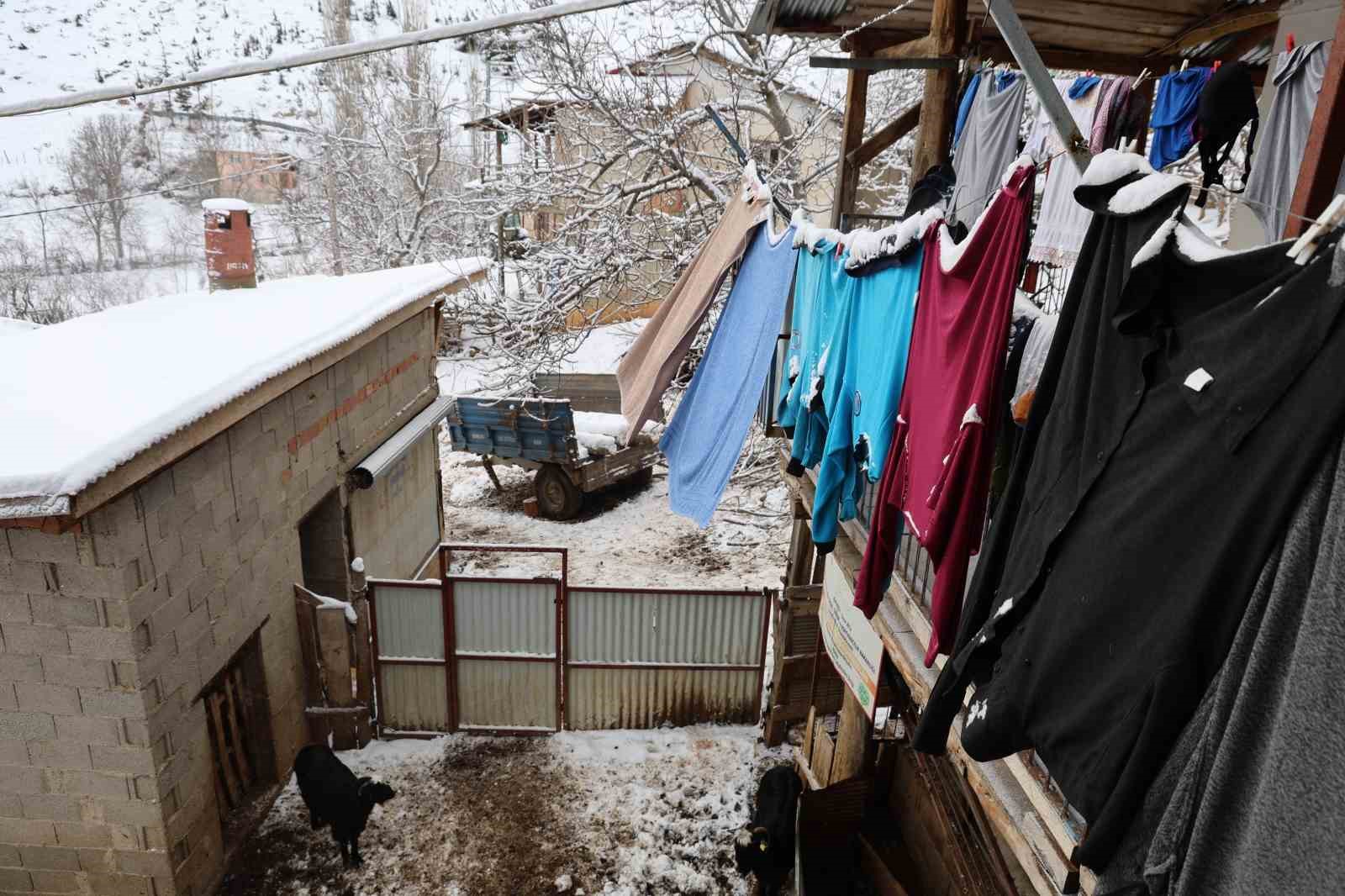 Kırsalda hayvancılıkla uğraşan kadın besicinin zorlu mesaisi
