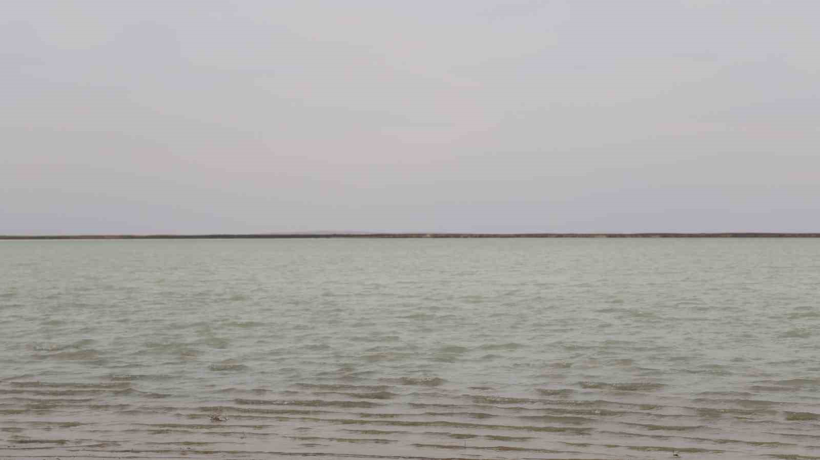 Kırşehir’de flamingolar fotoğraf tutkunlarının objektifine yansıdı
