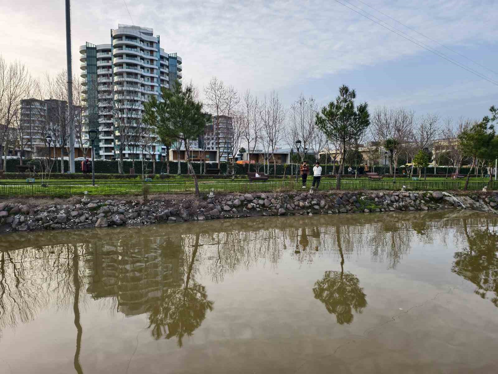 Kış ortasında bahar coşkusu
Kış ortasında bahar coşkusu