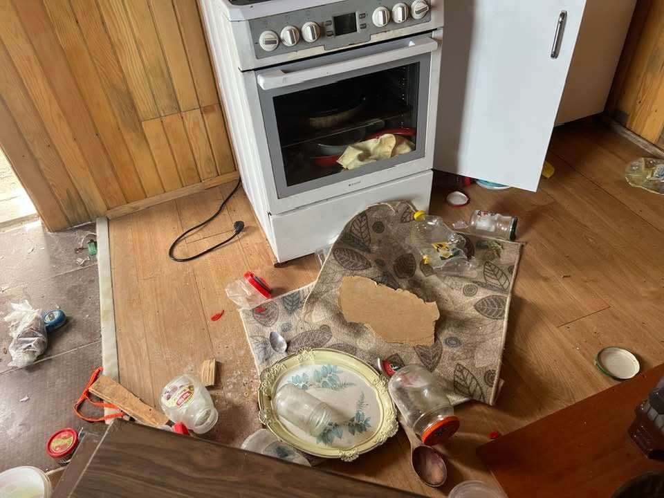 Kış uykusu bitti, ayı istilası başladı
