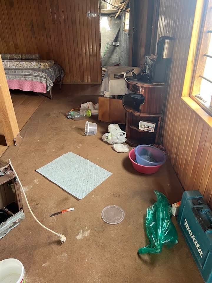 Kış uykusu bitti, ayı istilası başladı
