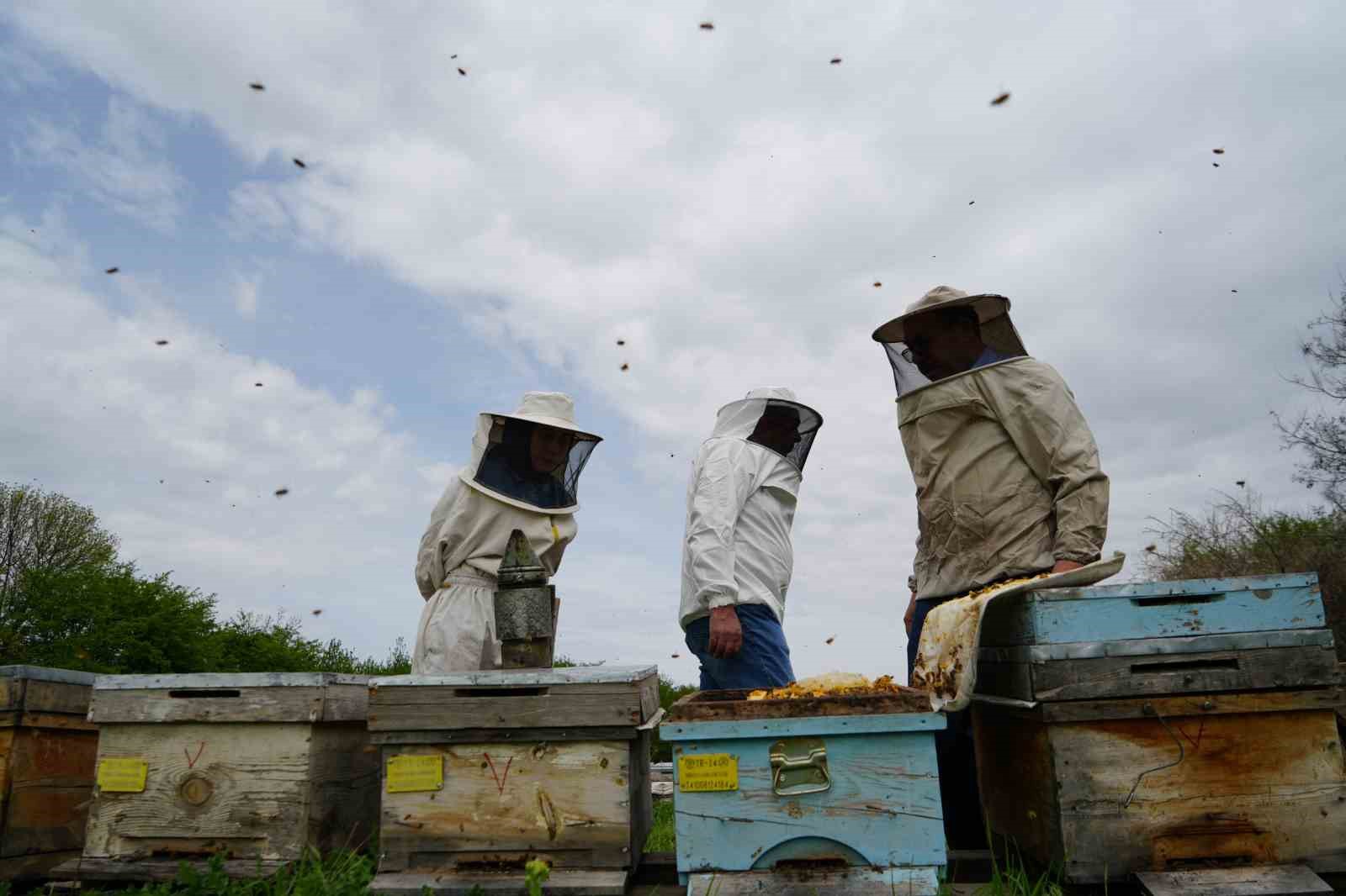 Kış uykusundan uyanan arılar Erzincan’da yeni sezona hazırlanıyor
