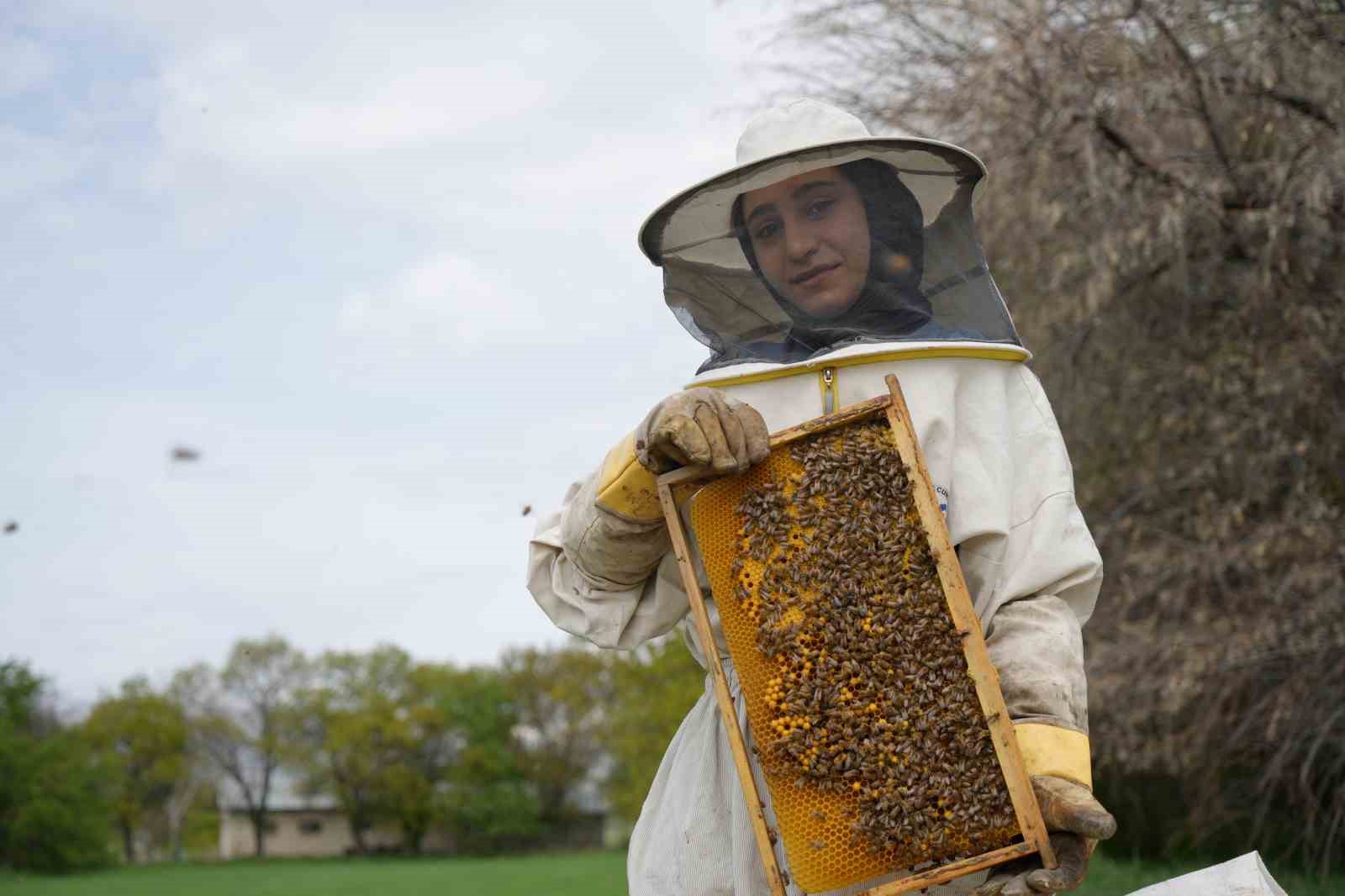 Kış uykusundan uyanan arılar Erzincan’da yeni sezona hazırlanıyor

