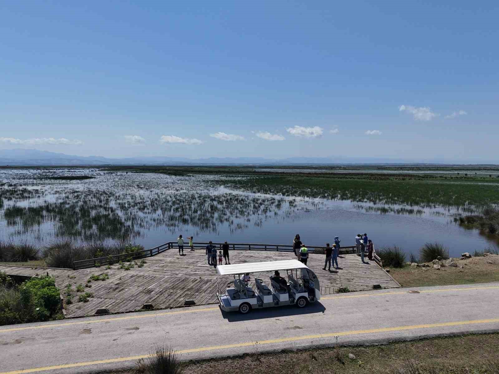 Kızılırmak Deltası Kuş Cenneti’nde bahar coşkusu
