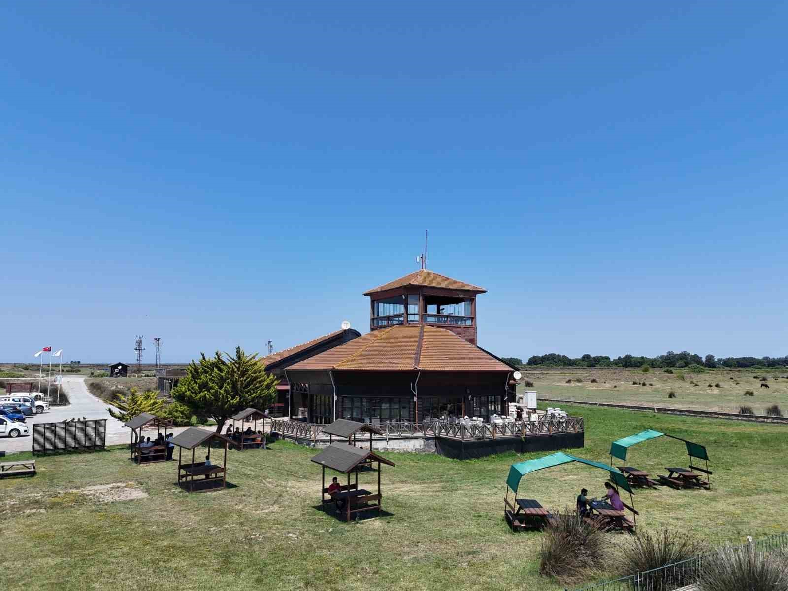 Kızılırmak Deltası Kuş Cenneti’nde bahar coşkusu
