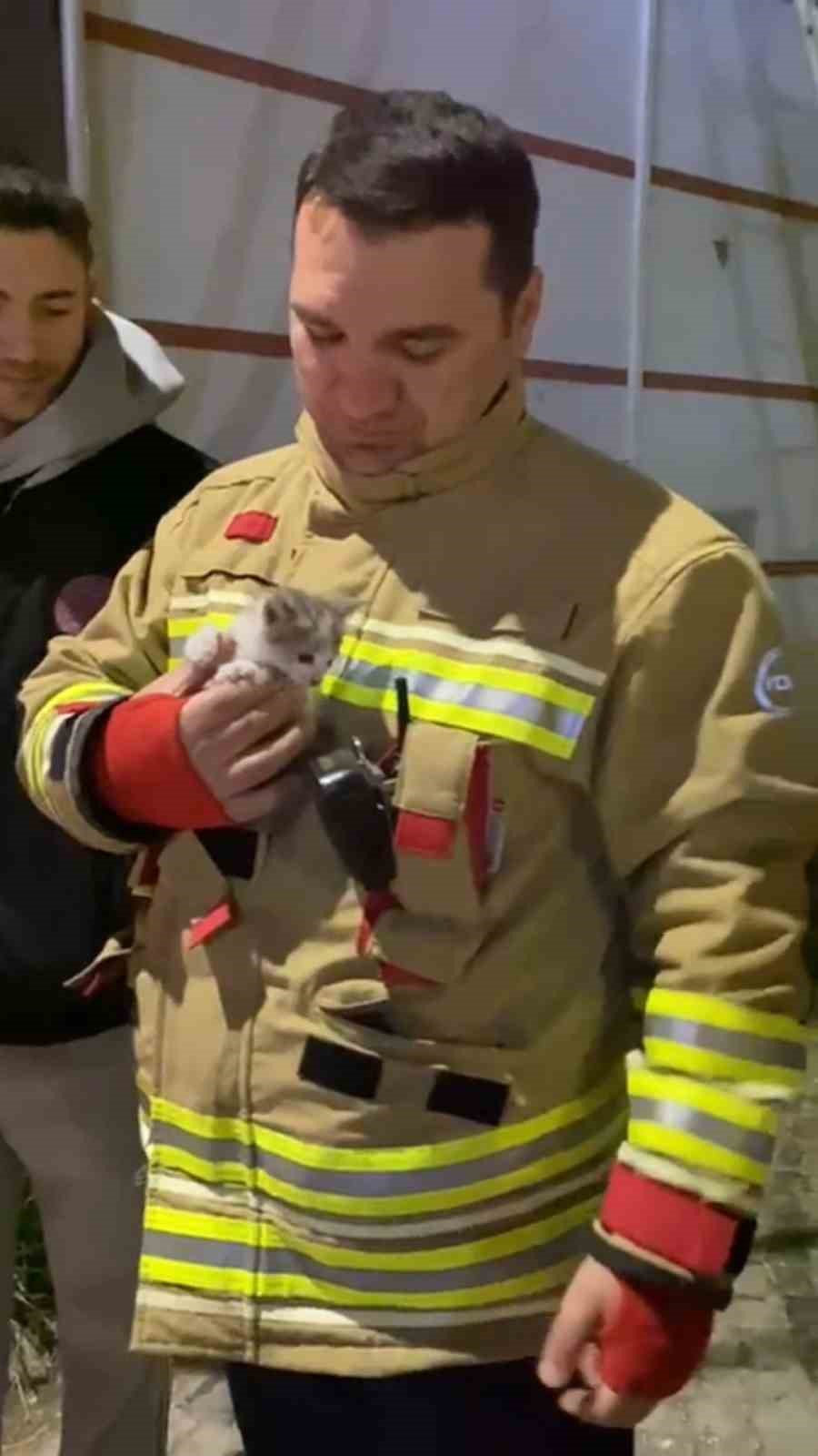 Klima motoruna sıkışan yavru kedi kurtarıldı
