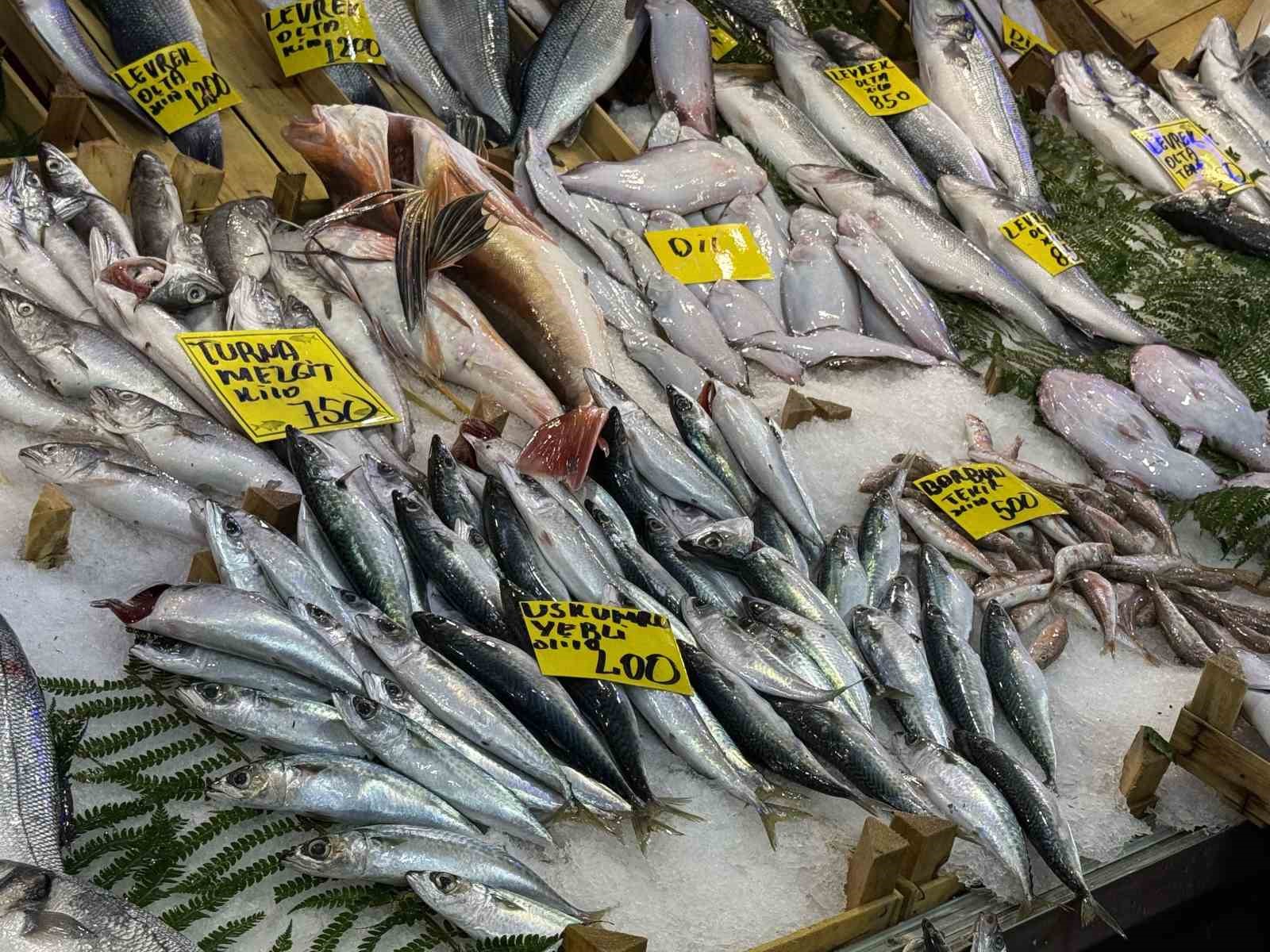 Kocaeli’de balık tezgahlarındaki son durum
