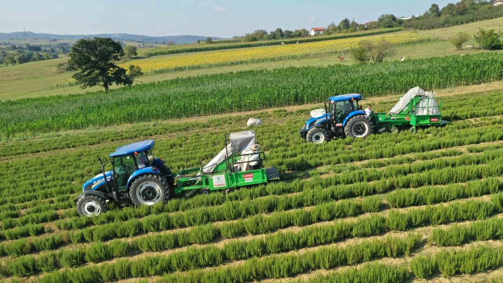 Kocaeli’de çiftçinin yüzünü güldüren destekler rakamlara yansıdı
