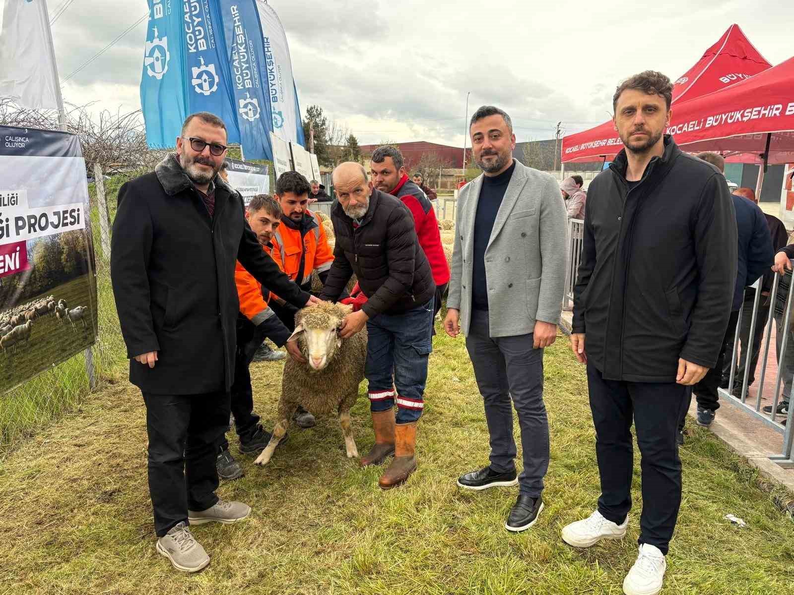 Kocaeli’de hayvancılığa "damızlık" dopingi
