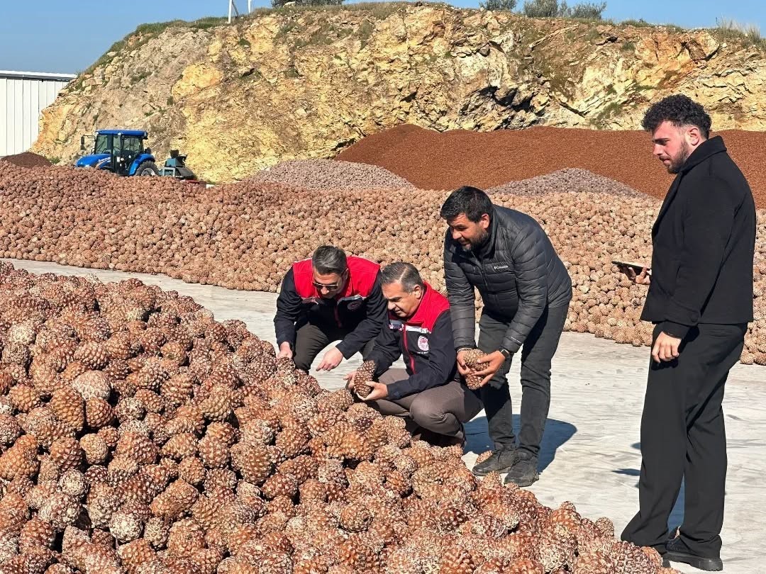 Koçarlı’da Çam Fıstığı işleme tesisindeki çalışmalar yerinde incelendi
Koçarlı’da Çam Fıstığı işleme tesisindeki çalışmalar yerinde incelendi