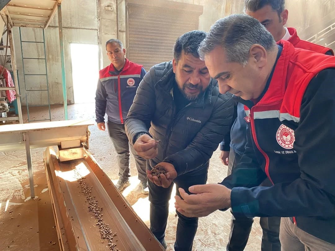 Koçarlı’da Çam Fıstığı işleme tesisindeki çalışmalar yerinde incelendi
Koçarlı’da Çam Fıstığı işleme tesisindeki çalışmalar yerinde incelendi