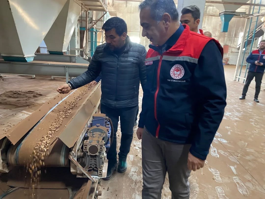 Koçarlı’da Çam Fıstığı işleme tesisindeki çalışmalar yerinde incelendi
Koçarlı’da Çam Fıstığı işleme tesisindeki çalışmalar yerinde incelendi